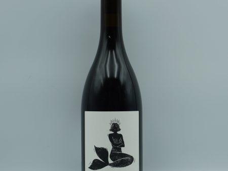 Vin Noé, Guele D Amour Bourgogne Rouge 2022 Online now