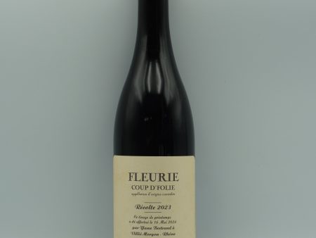 Yann Bertrand, Fleurie Folie 2023 For Sale