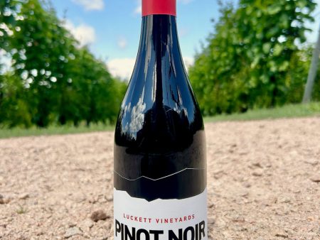 Pinot Noir For Cheap