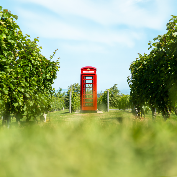 Phone Box Red For Cheap