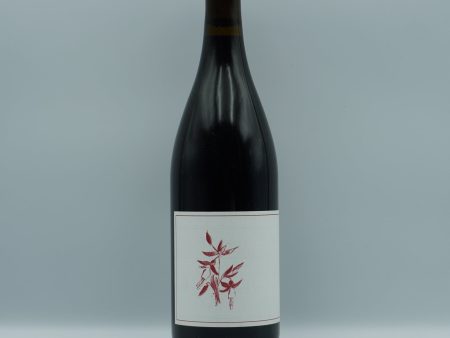 Arnot-Roberts, Sonoma Coast Syrah 2021 For Sale