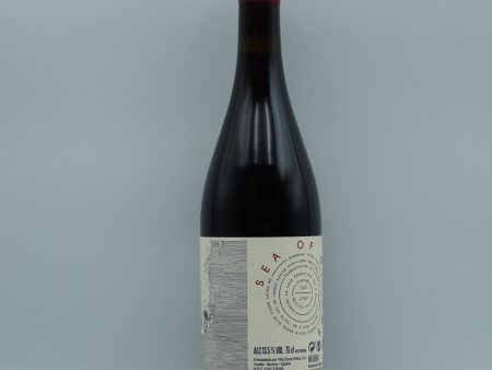 Viña Zorzal, Sea of Dreams Garnacha 2020 Online now