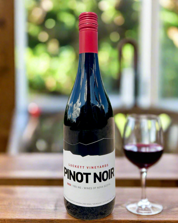 Pinot Noir For Cheap