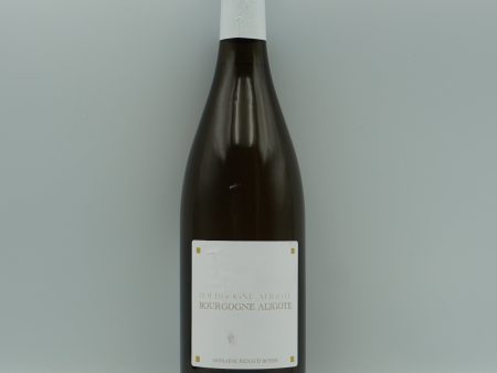 Renaud Boyer, Bourgogne Aligote 2023 Online Sale