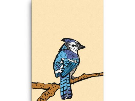 Blue Jay Illustration Canvas Print Hot on Sale