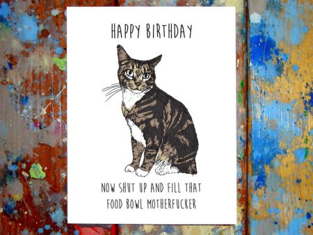 Cat Happy Birthday Card For Discount