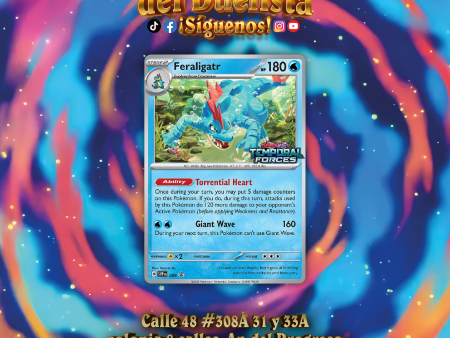 Feraligatr For Discount