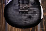 PRS SE Custom 24 Floyd Gray Black Fashion