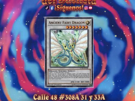 Ancient Fairy Dragon For Discount